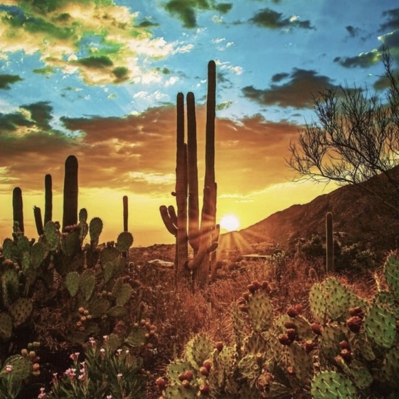 Welcome to my Closet!! - Picture 3 of 5